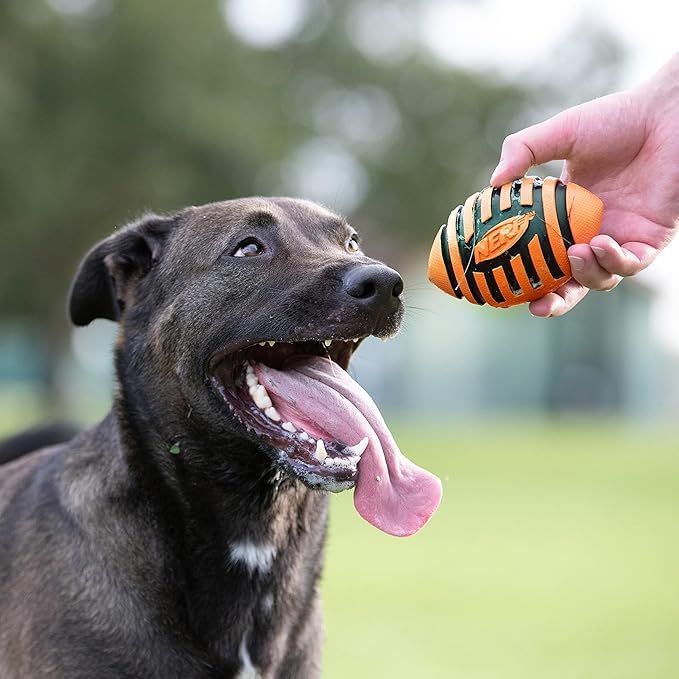 Nerf Dog Spiral Squeak Football features an easy-grip pattern for tossing.