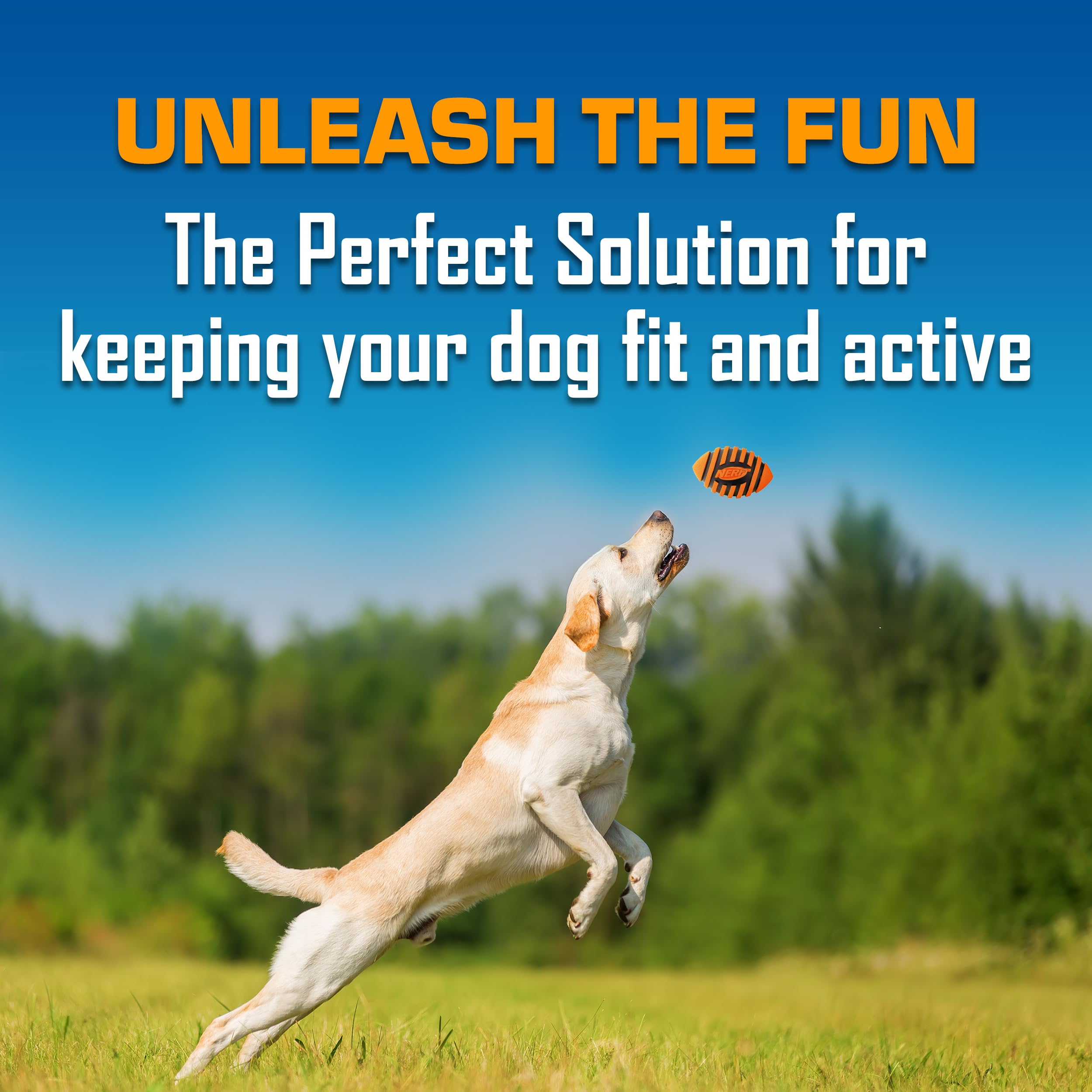 Nerf Dog Spiral Squeak Football with squeaker engages dogs in play.