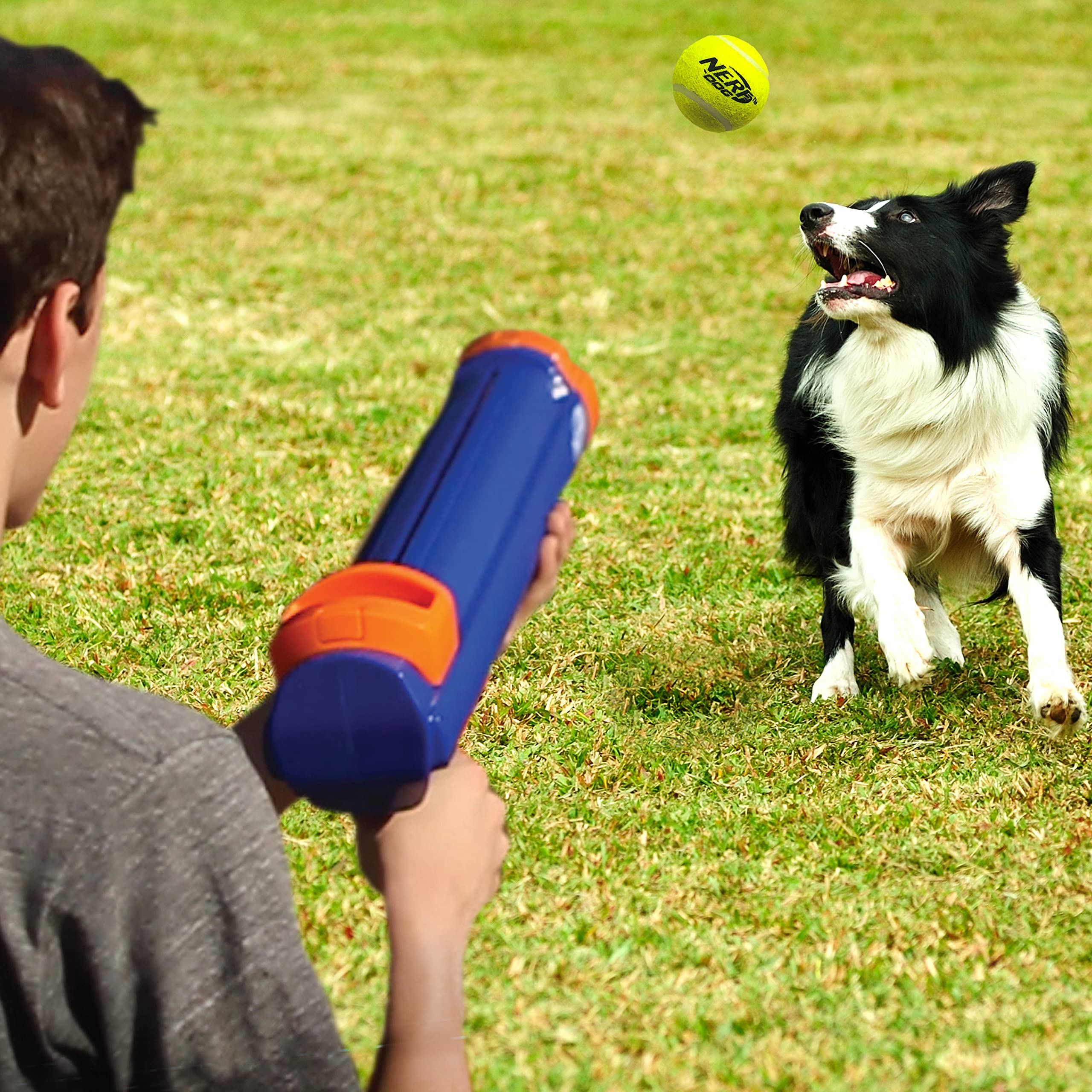 Nerf Dog blaster ball is sized for dogs of all sizes.