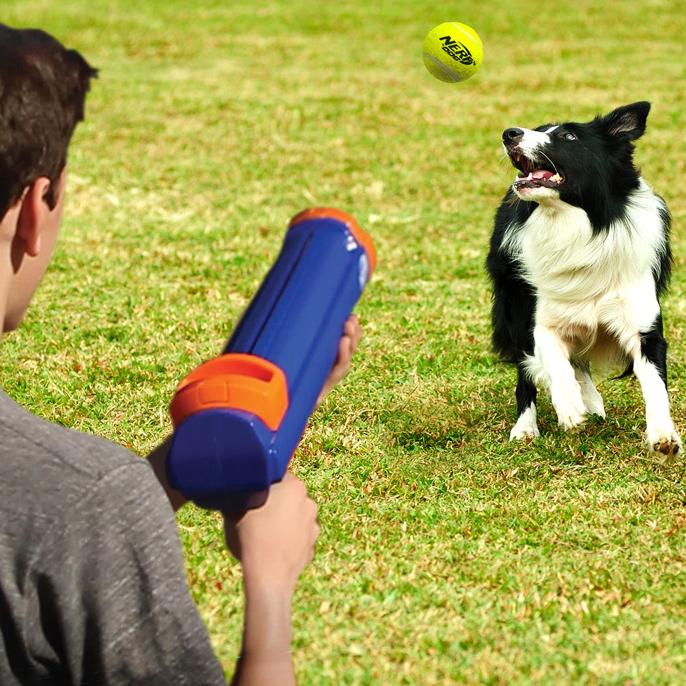 Nerf Dog blaster ball is sized for dogs of all sizes.