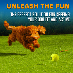 Three Nerf Dog tennis balls included for quick, consistent retrieves