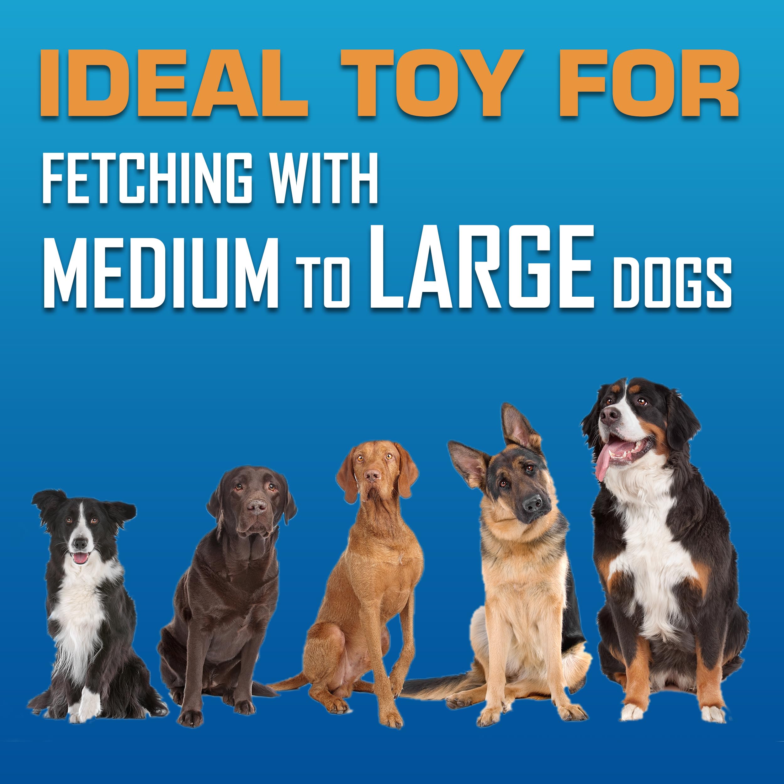 Nerf Dog Tire Flyer durable Nerf-quality toy for hours of outdoor play.
