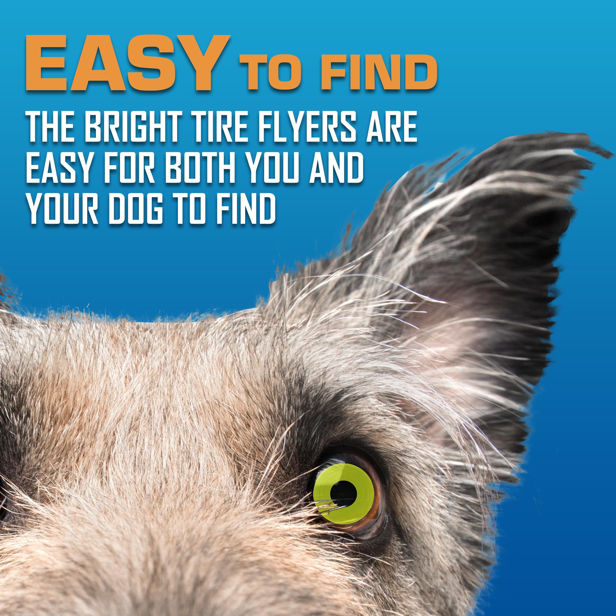 Nerf Dog Tire Flyer floating and waterproof for water-based adventures.