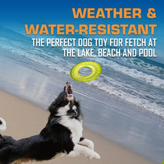 Nerf Dog Tire Flyer translucent blue 10-inch disc ideal for water fetch.