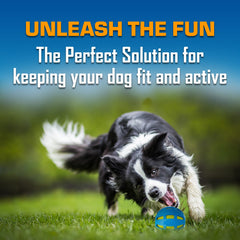 Nerf Dog Tire Squeak Football rugged shape, ideal for long-distance throws.