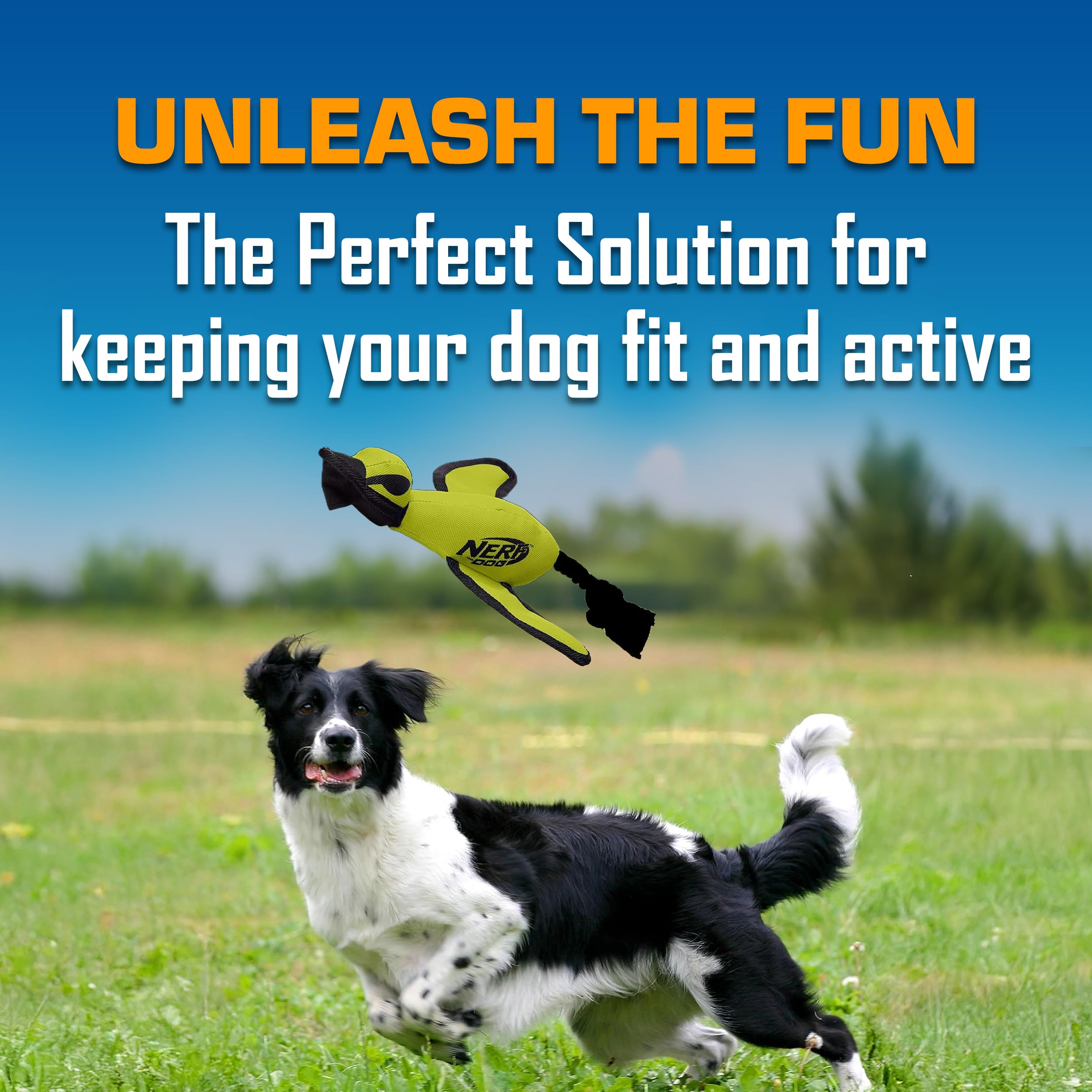 Nerf Dog Trackshot Launching Duck, bright green for easy tracking during play.