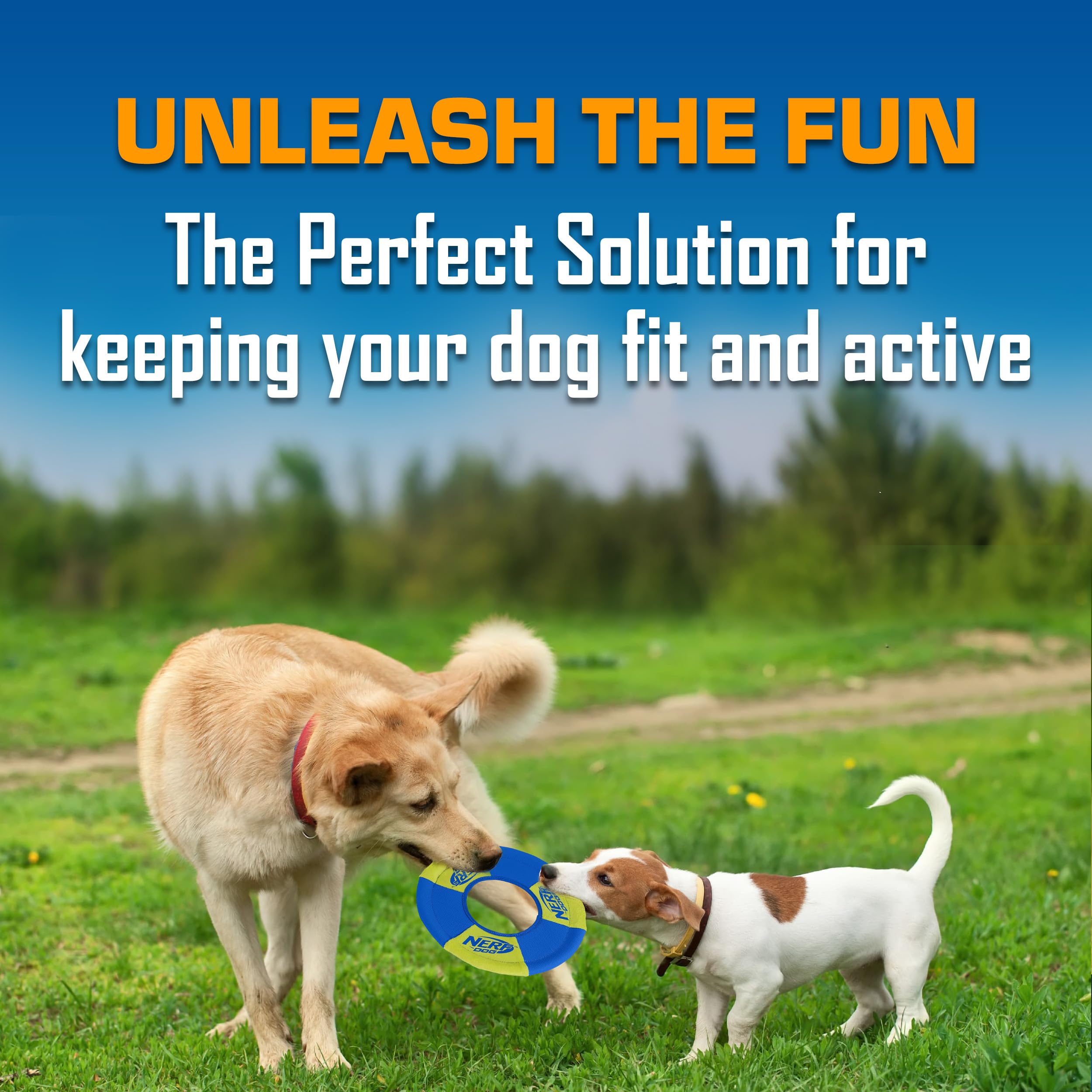 Nerf Dog Trackshot floating disc designed to float on water for beach play.