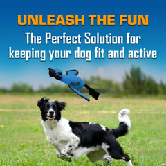 Nerf Dog Trackshot Launching Duck offers up to 75 feet of flight