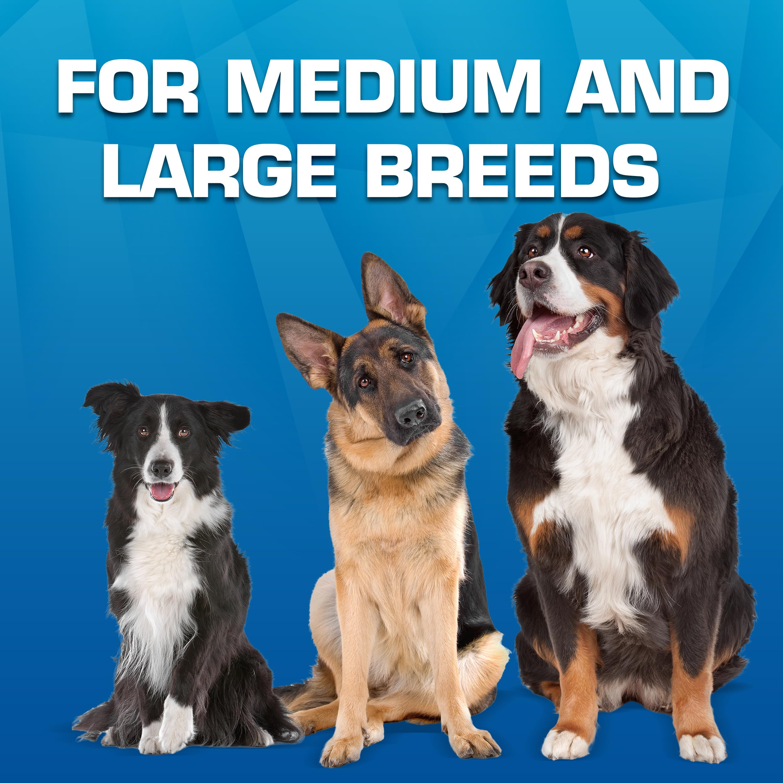 Nerf Dog Trackshot Launching Duck bright blue aids outdoor tracking