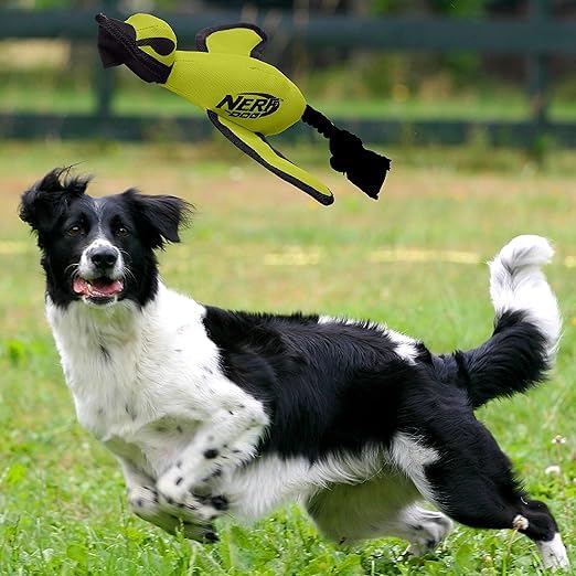 Nerf Dog Trackshot Launching Duck safety label visible for responsible play.