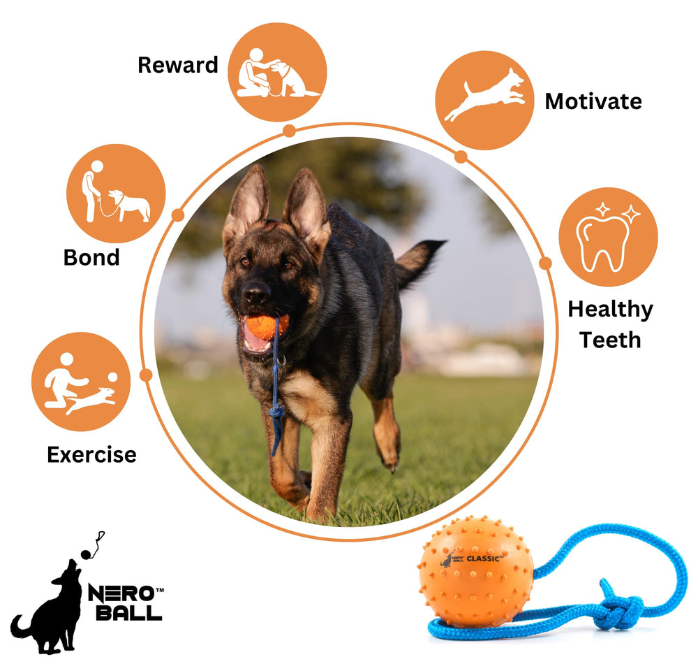 Nero Ball Classic K-9 unit-use scenario for professional training reward