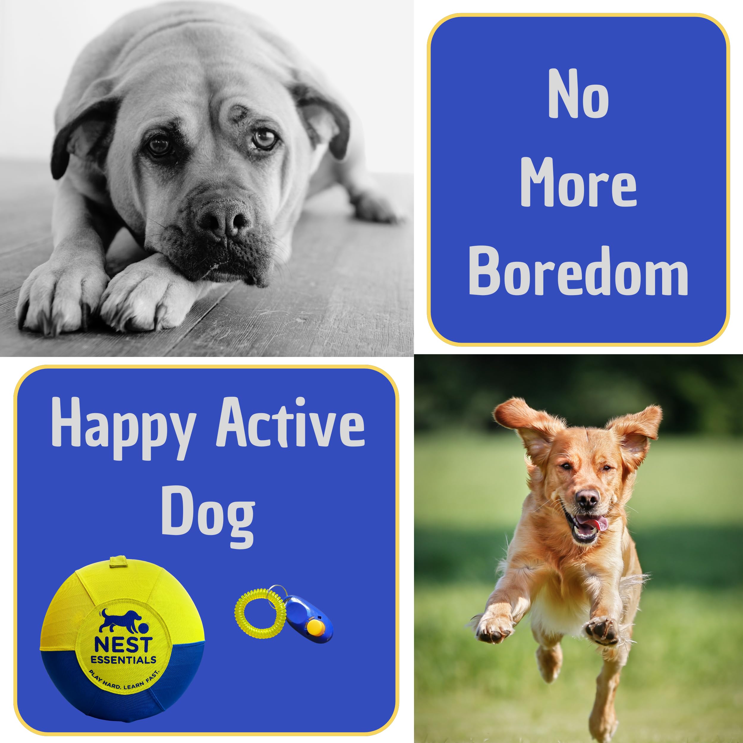 Nest Essentials Herding Ball's protected zipper adds chew-resistance for safe play.