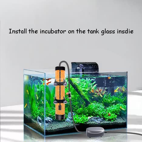 NestBasics air stone diffusing gentle bubbles for even oxygen distribution