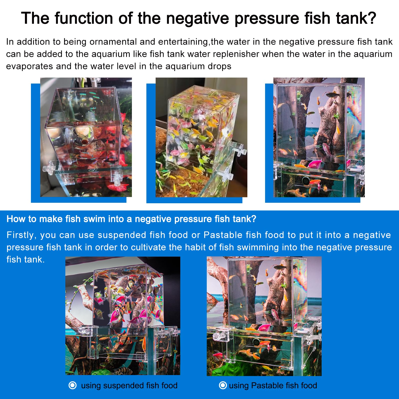 NestBasics aquarium fish activity inside shows lively swimming through clear walls.