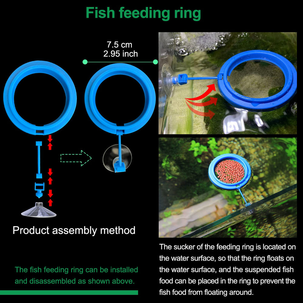 NestBasics feeding ring for organized suspended feeding