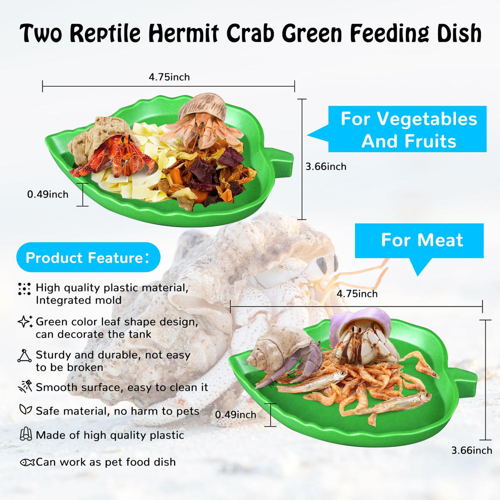 NestBasics green leaf feeding dish for meat portions.
