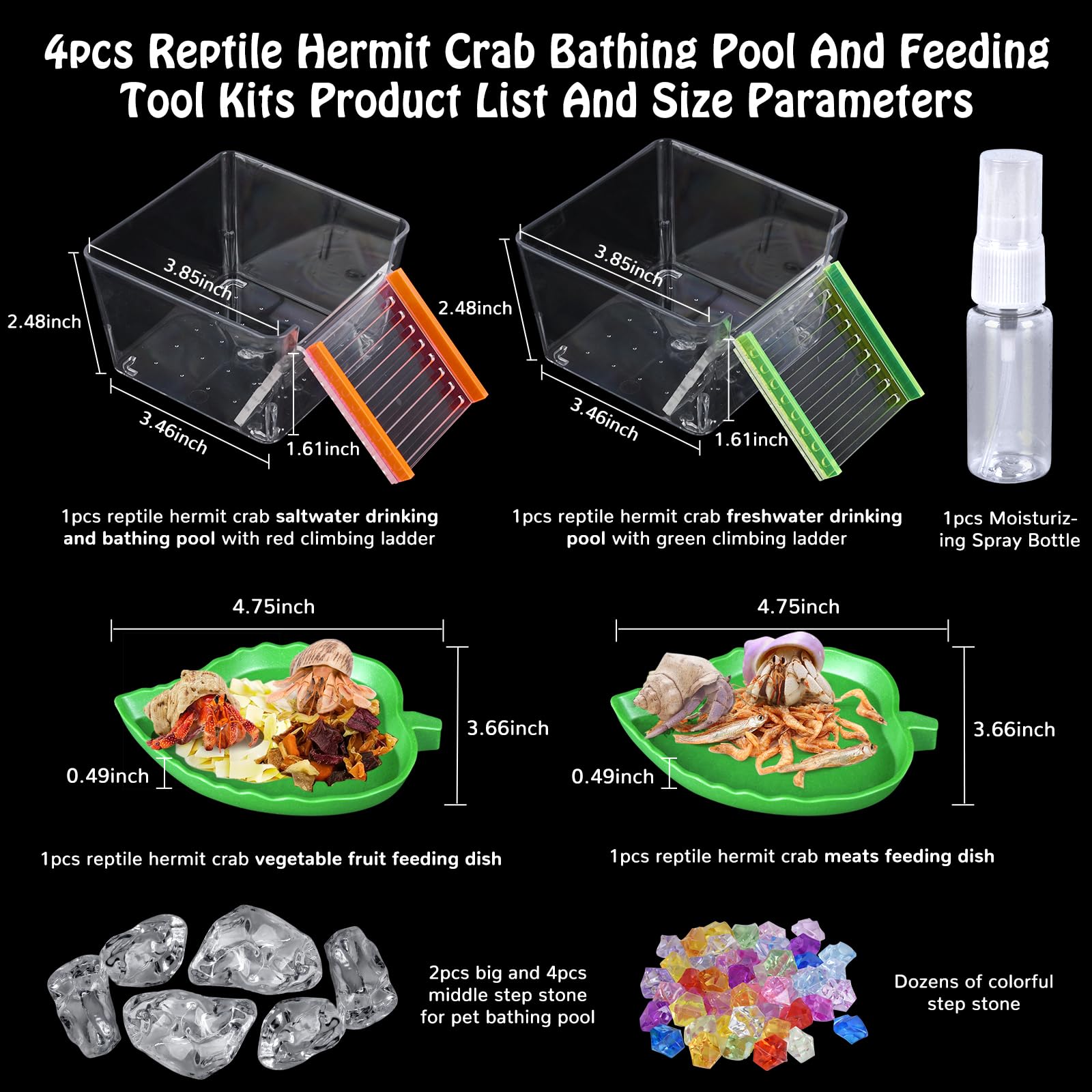 NestBasics hermit crab drinking pool with green ladder supports hydration.