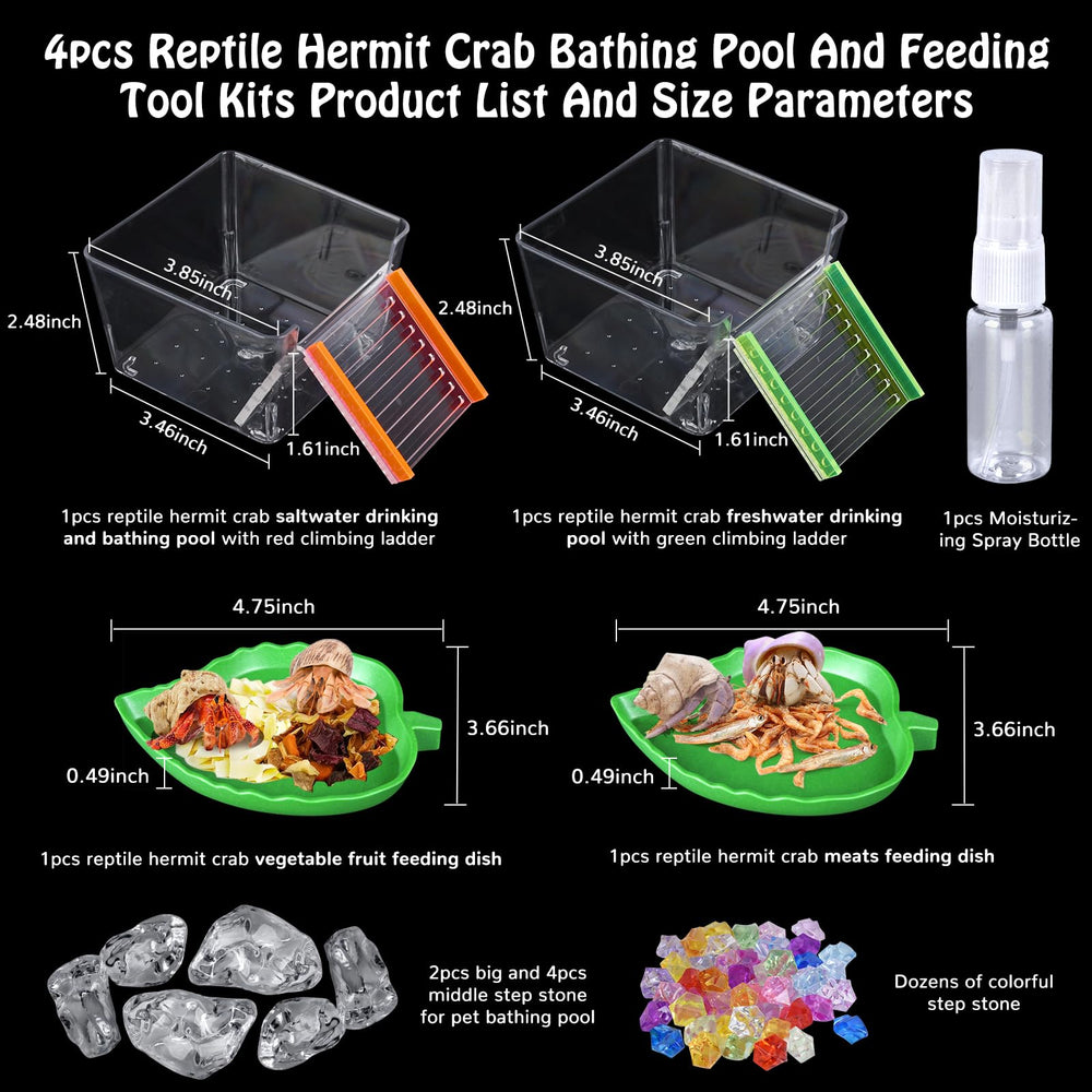 NestBasics hermit crab drinking pool with green ladder supports hydration.
