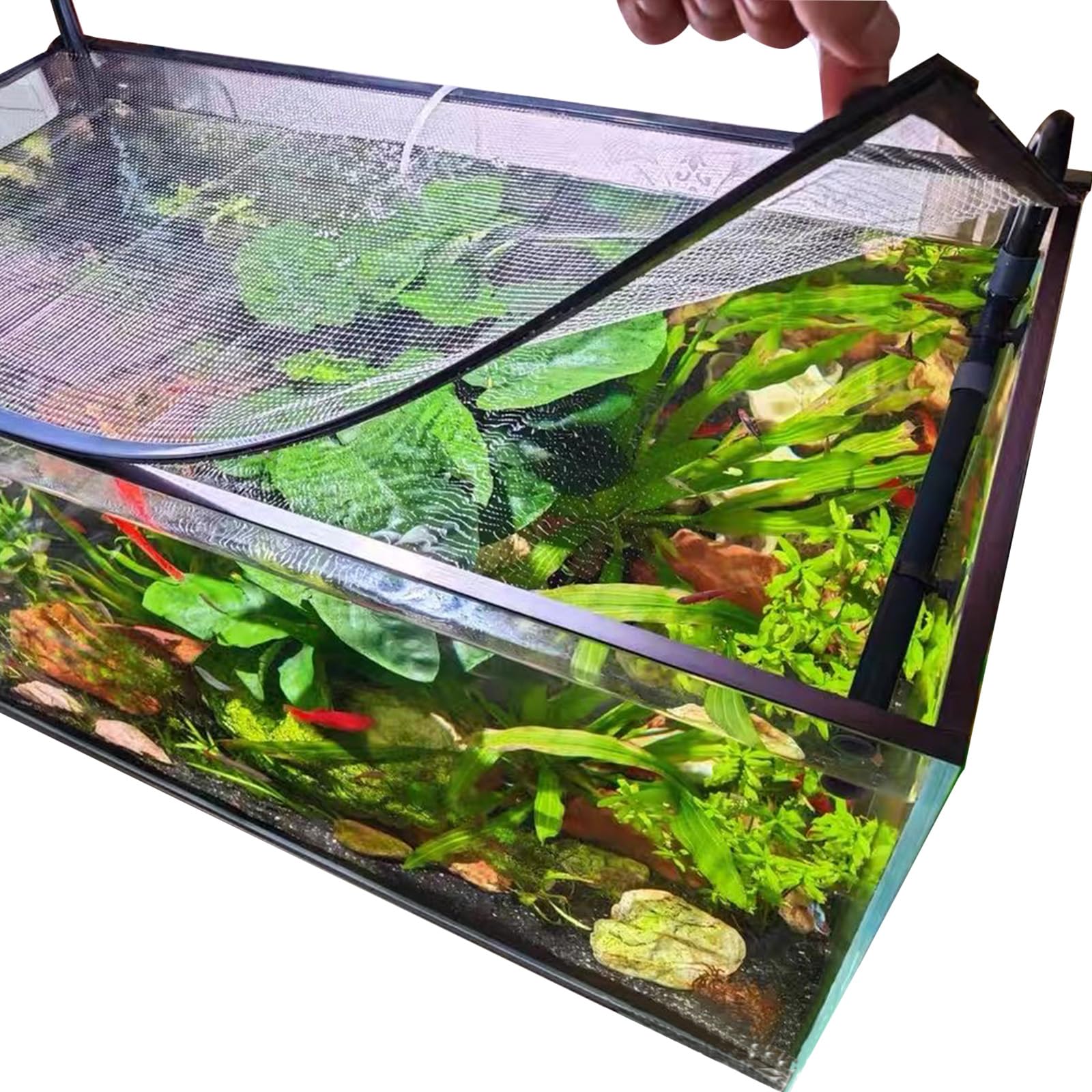 NestBasics magnetic aquarium cover lid securely placed on a tank, reducing jumping risk.