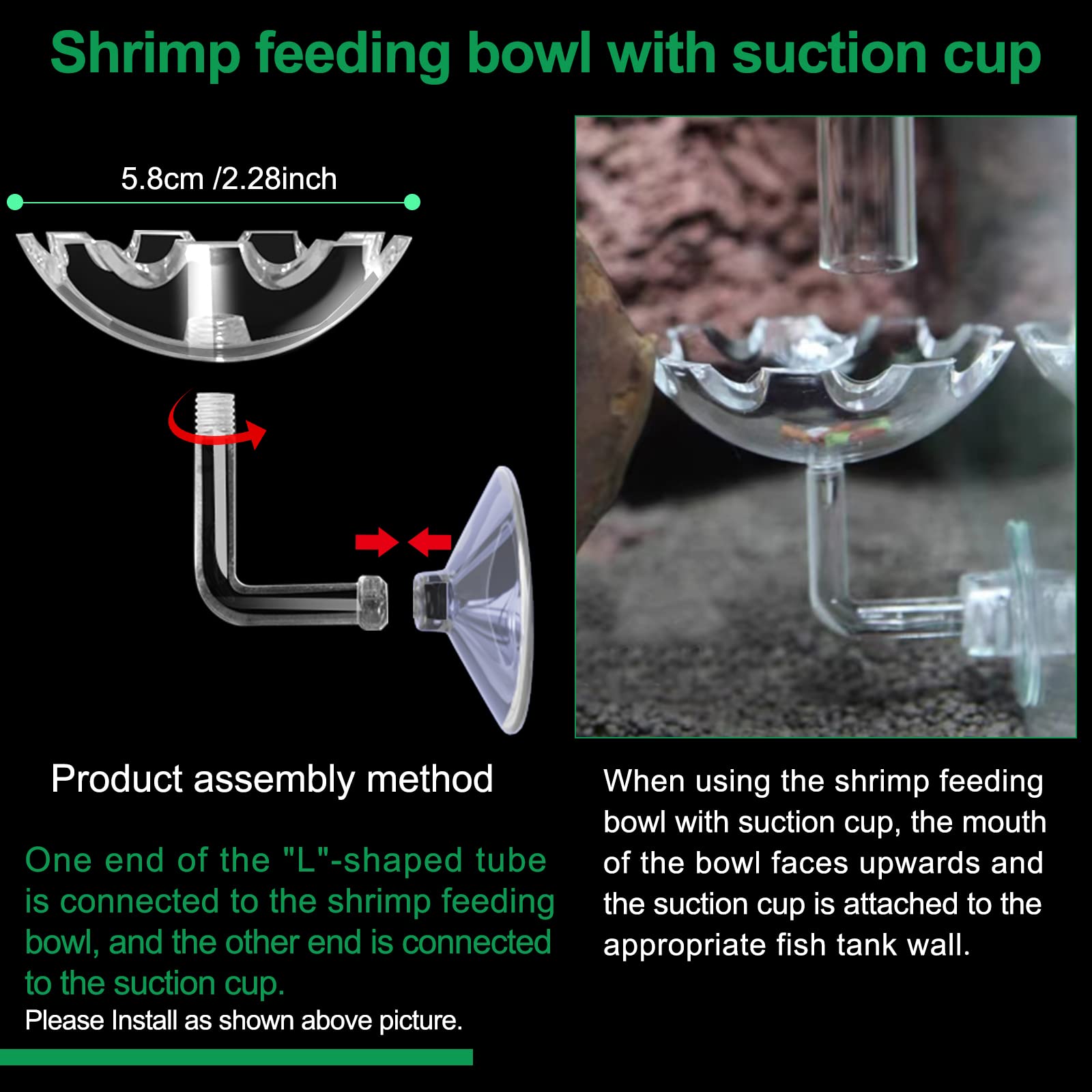 NestBasics shrimp feeding bowl with suction cup stays secure during feeding