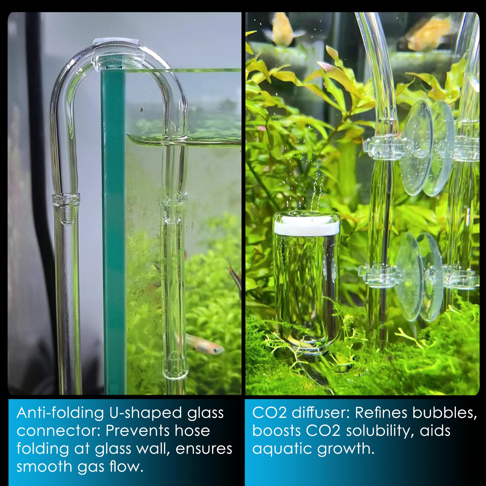 NestBasics U-shaped glass tube to prevent hose kinking