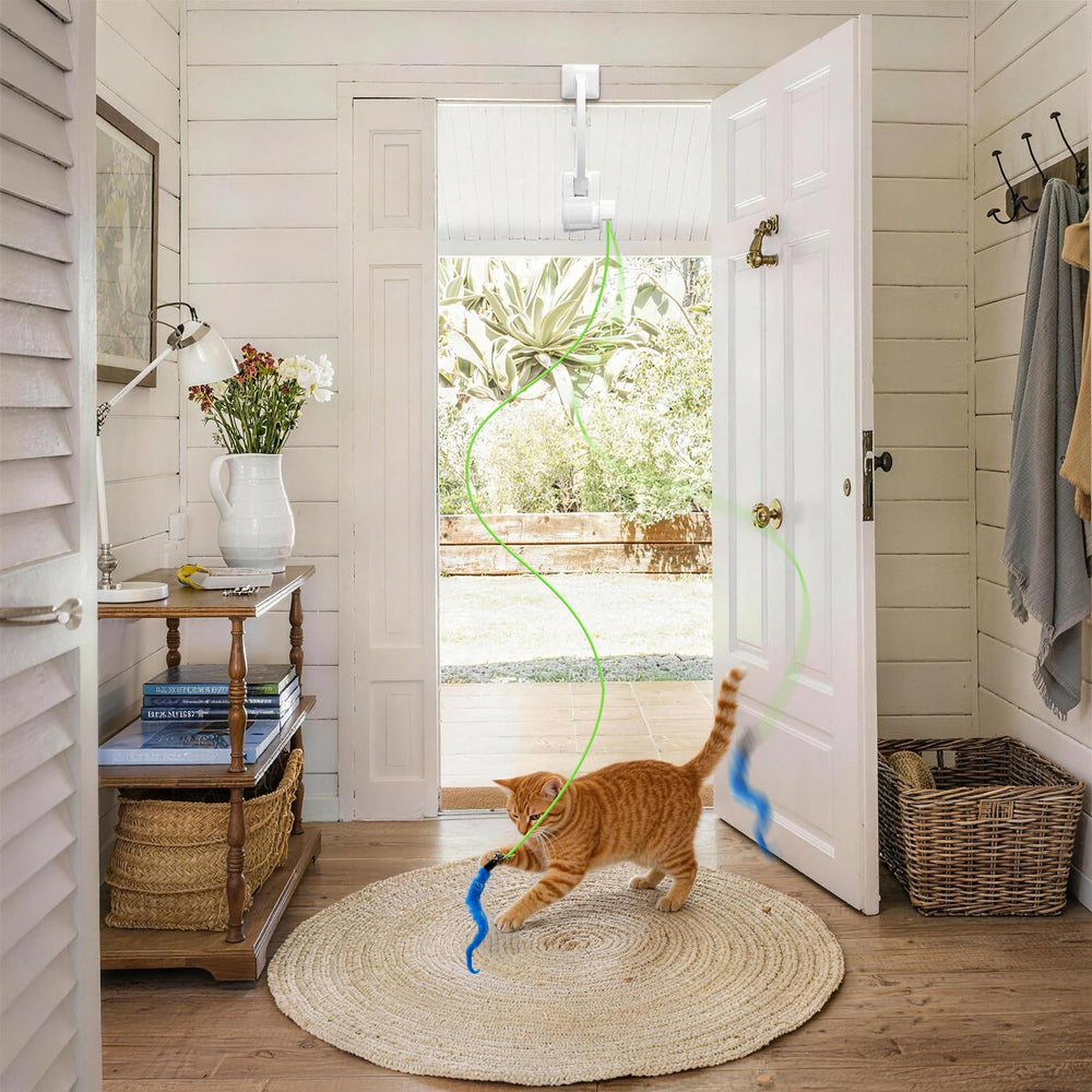 NestChroix cat toy accessories offer fresh play with four toys