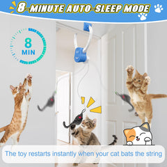 NestChroix door-frame mount cat toy with space-saving design.