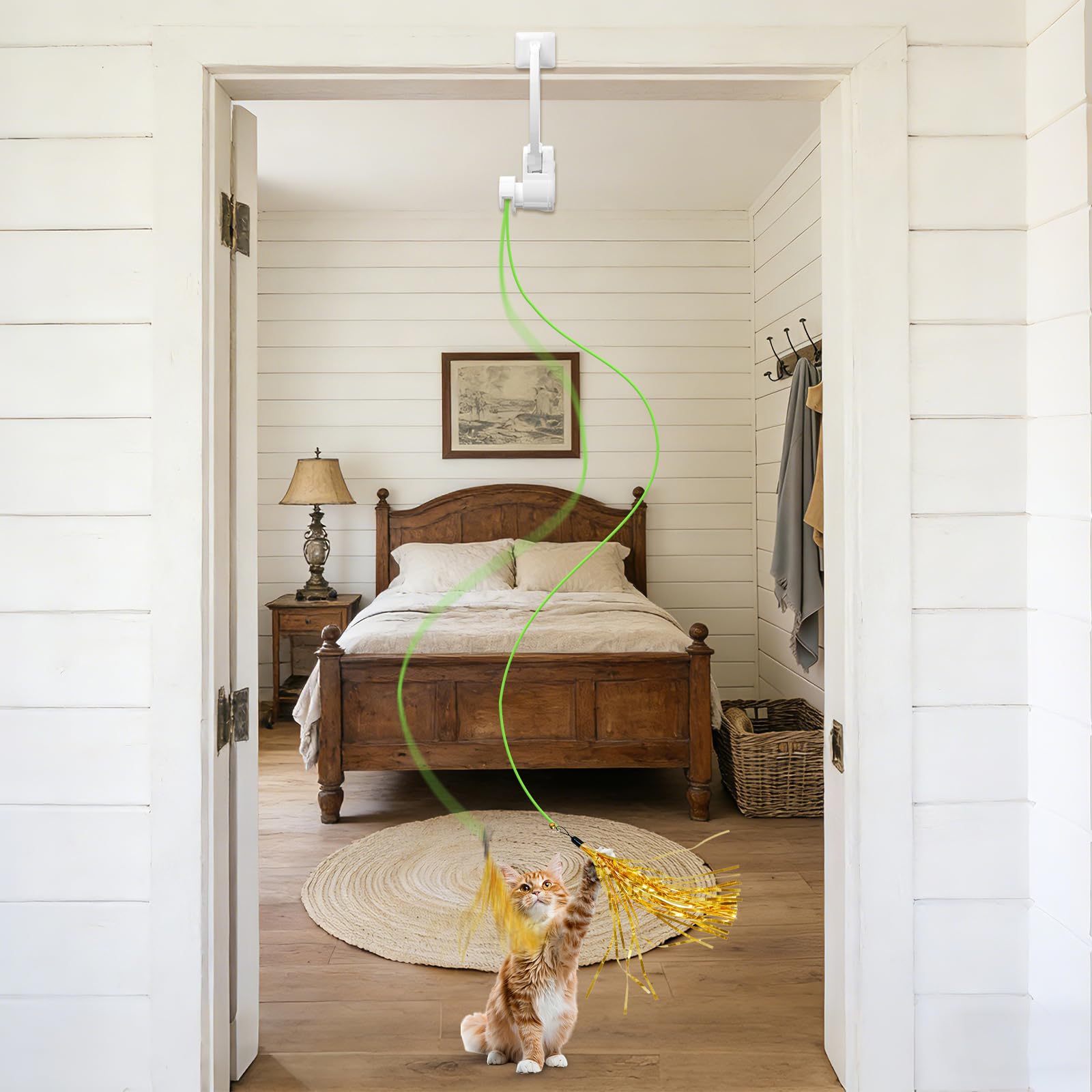 NestChroix indoor cat enrichment enhances exploration and activity