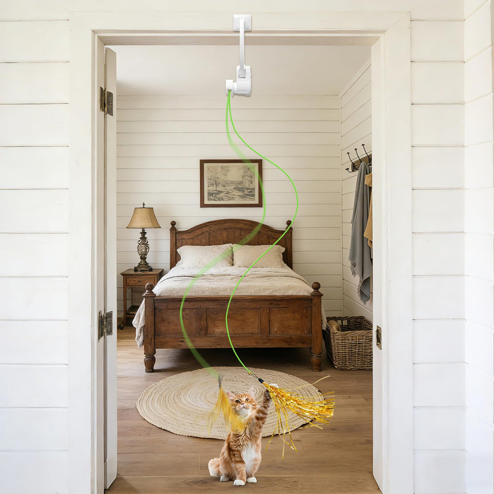 NestChroix indoor cat enrichment enhances exploration and activity