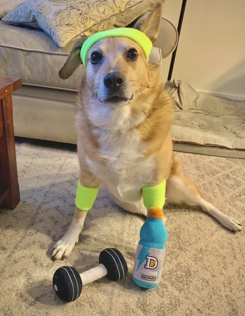 Nestpark 8.5 inch toy suits dogs of all sizes