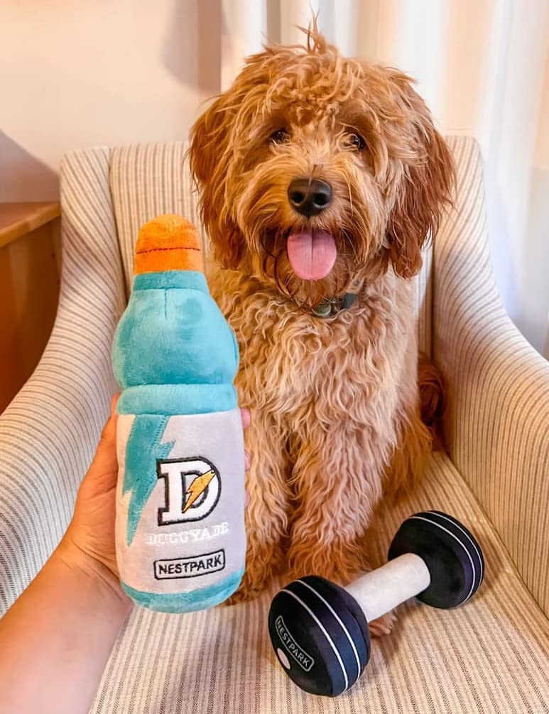 Nestpark Doggy Dumbbell toy designed for active fetch and workouts