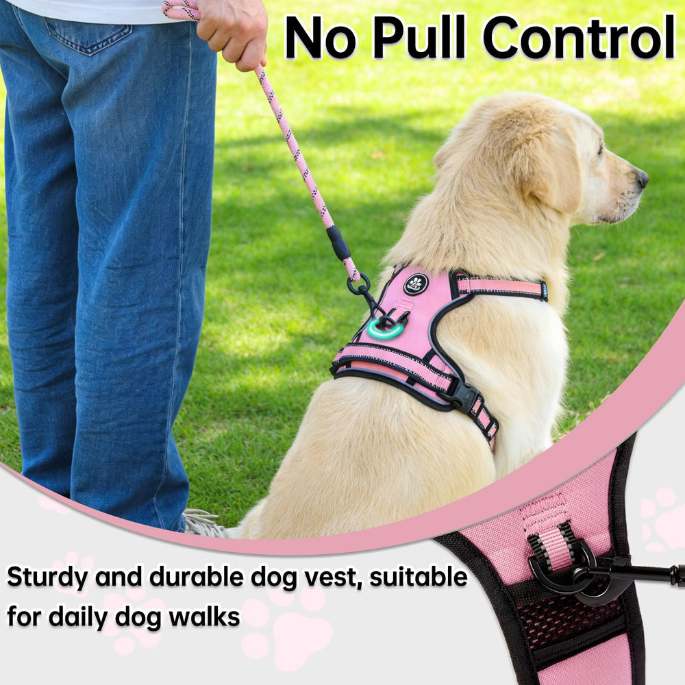 Front clip enables pull-free control during training and active walking with pink harness.