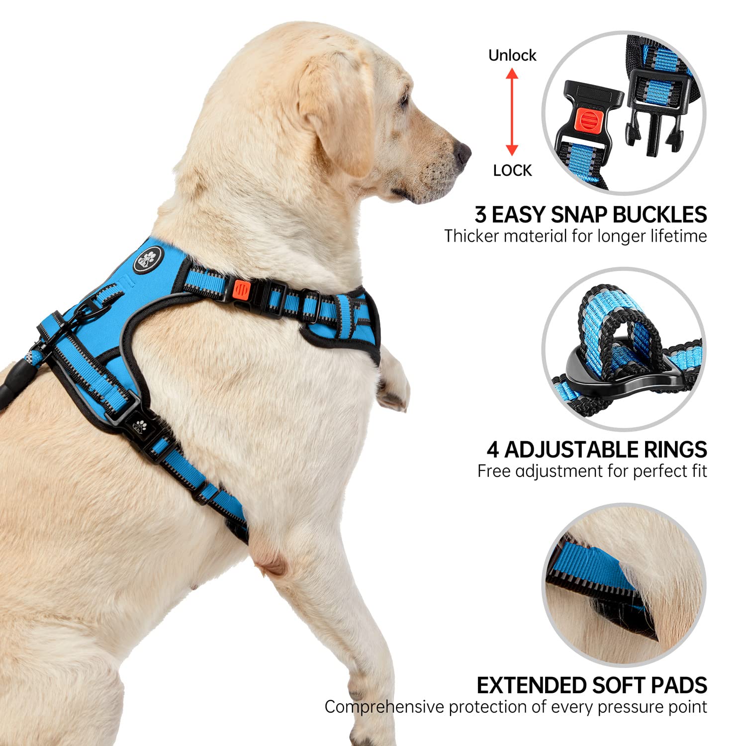 NESTROAD front clip supports pull-free control during training.