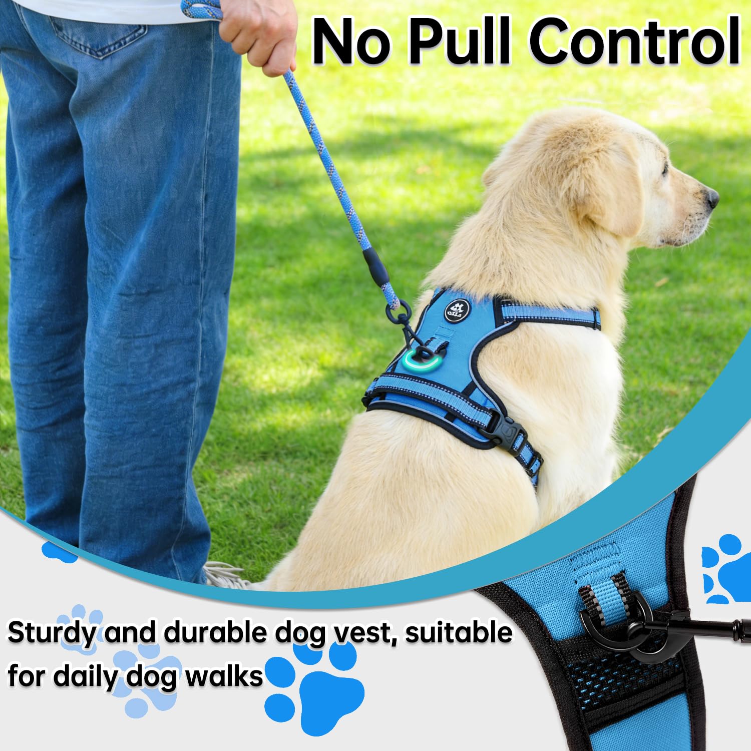 NESTROAD included leash provides ready-to-use security for every outing.
