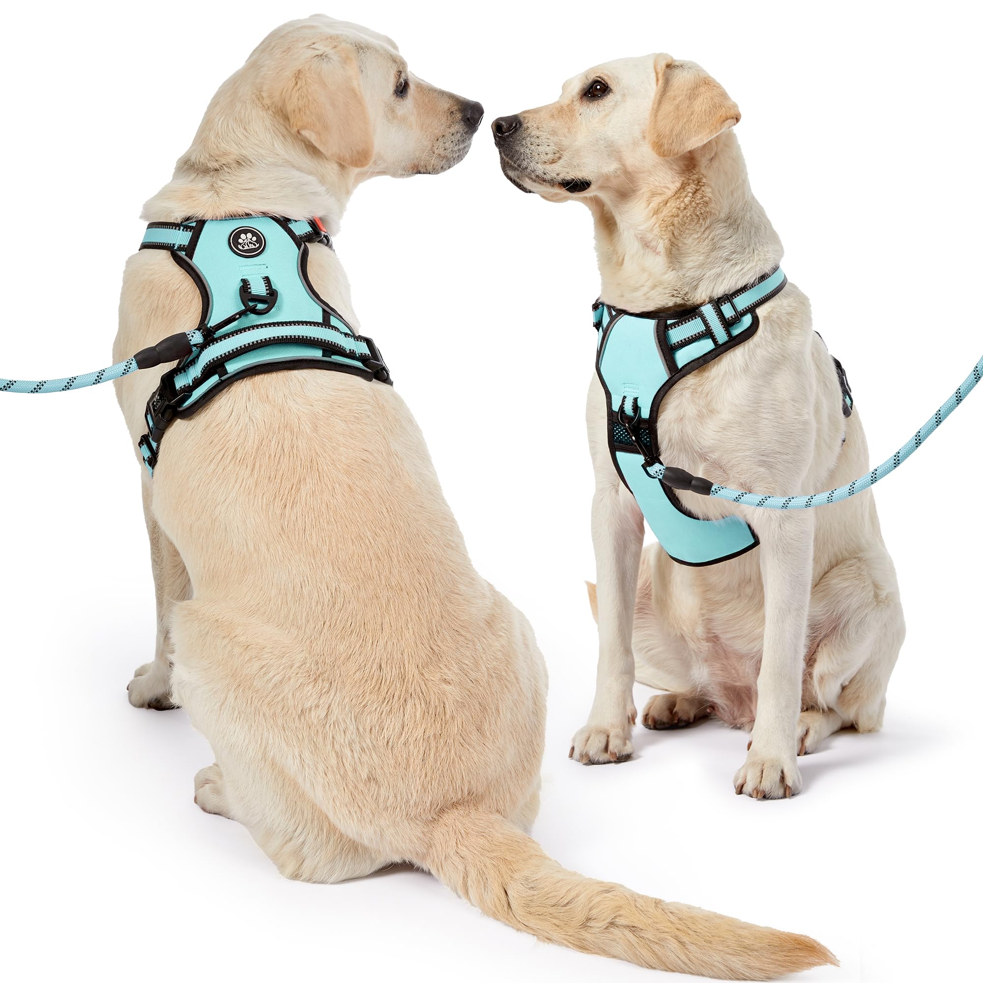 NESTROAD package includes leash, retractable seatbelt, and storage strap for easy outings