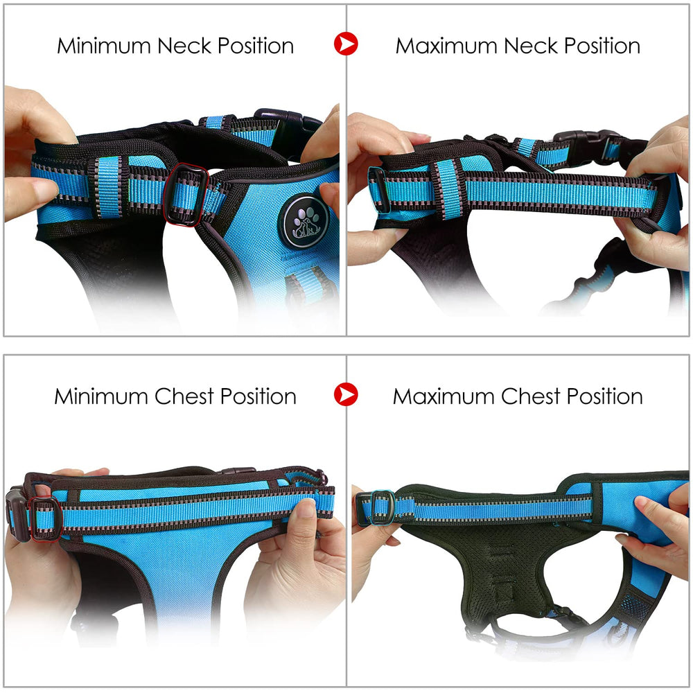 NESTROAD included leash and storage strap simplify daily outings.