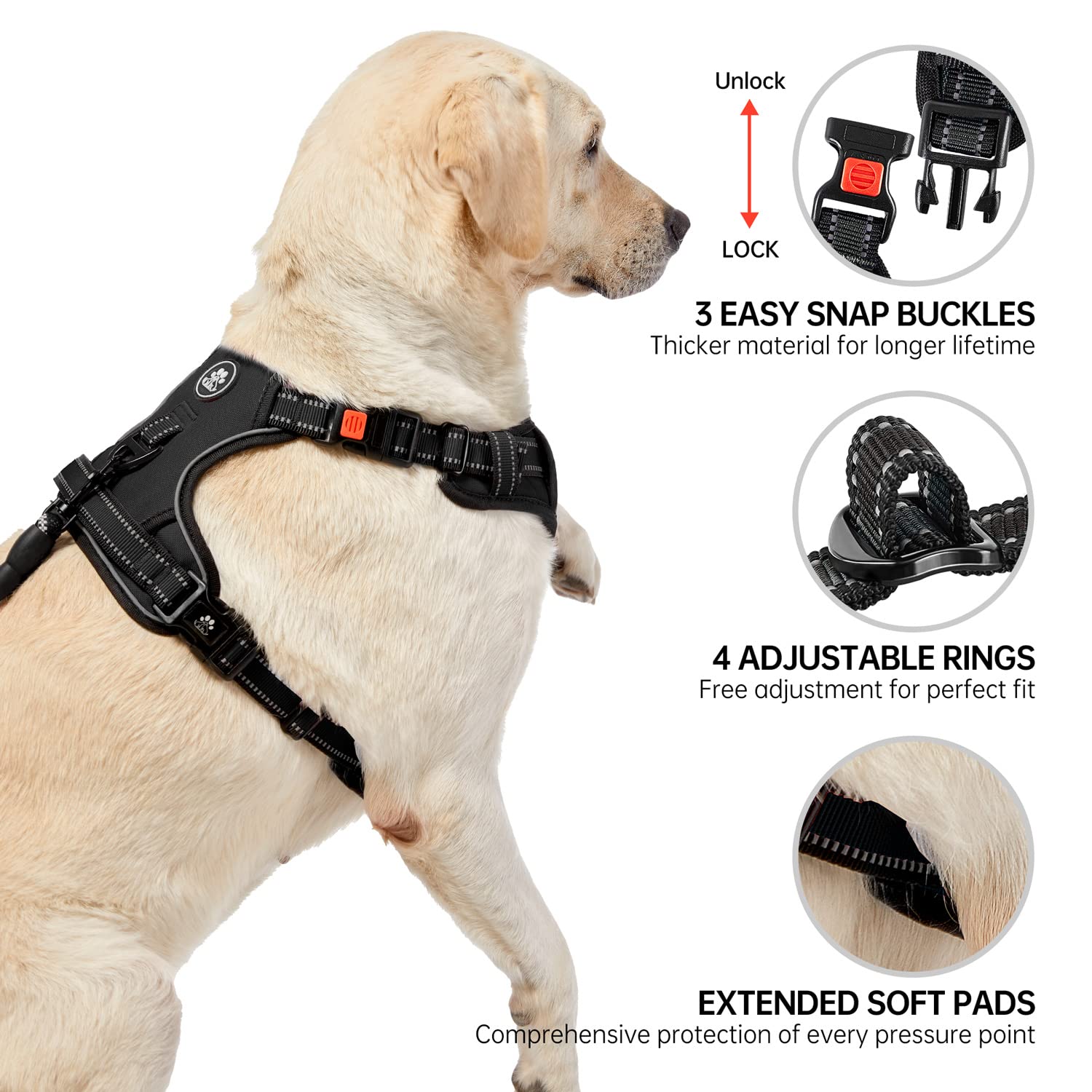 NESTROAD breathable padding and air mesh keeps dogs comfy on longer walks.