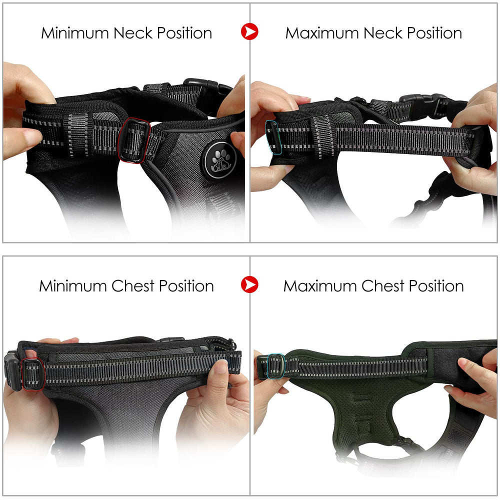NESTROAD size chart guides a precise fit for small to large dogs.