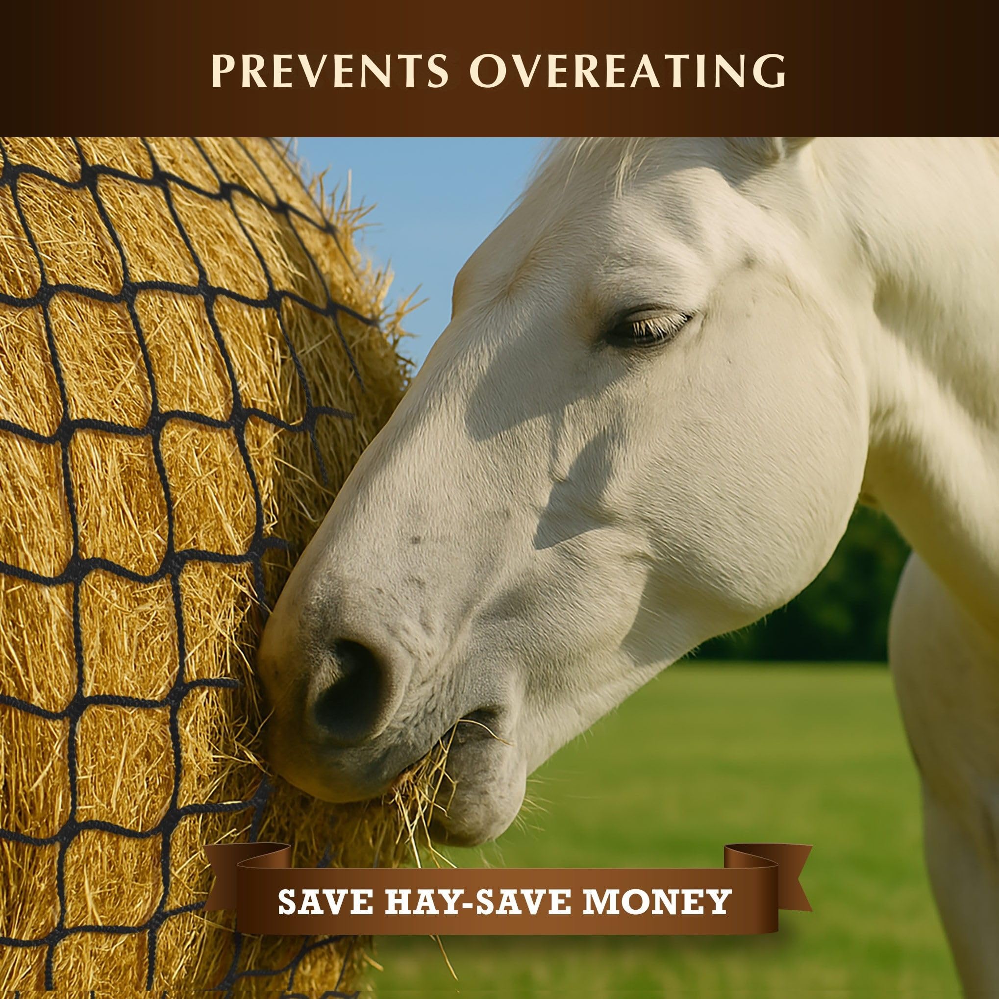 NETYSAY knotless mesh close-up shows gentle weave for horse mouths.