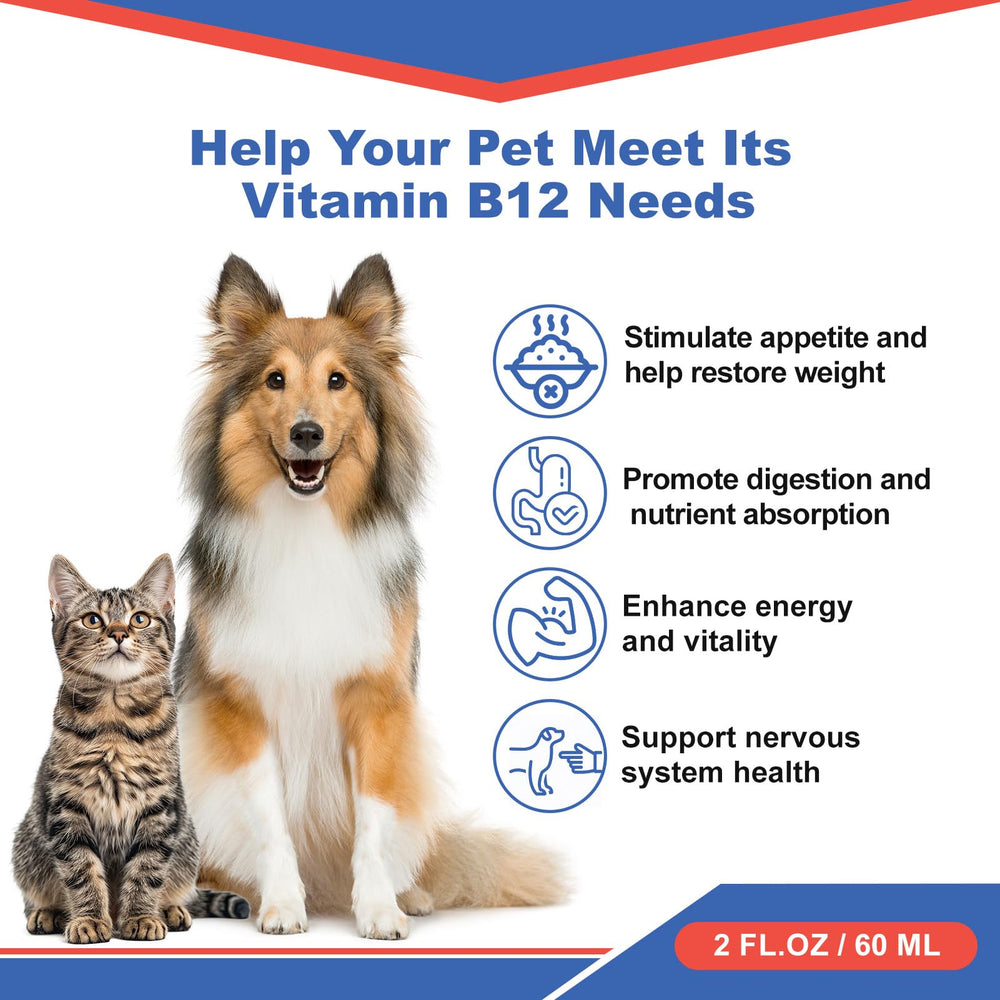 Netrca B12 liquid closeup highlighting methylcobalamin supporting energy.
