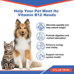 Netrca B12 liquid closeup highlighting methylcobalamin supporting energy.