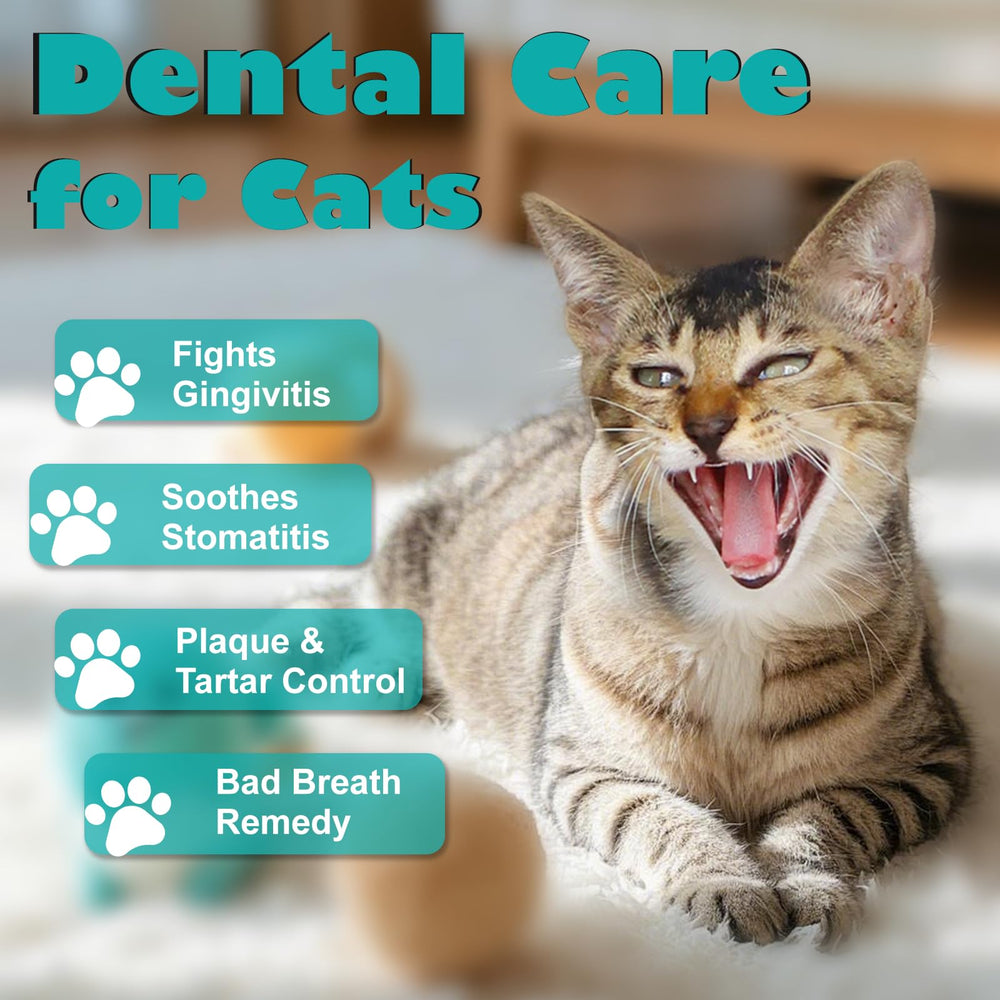 Netrca stomatitis-support tablets package demonstrates gentle all-natural formula for daily use.