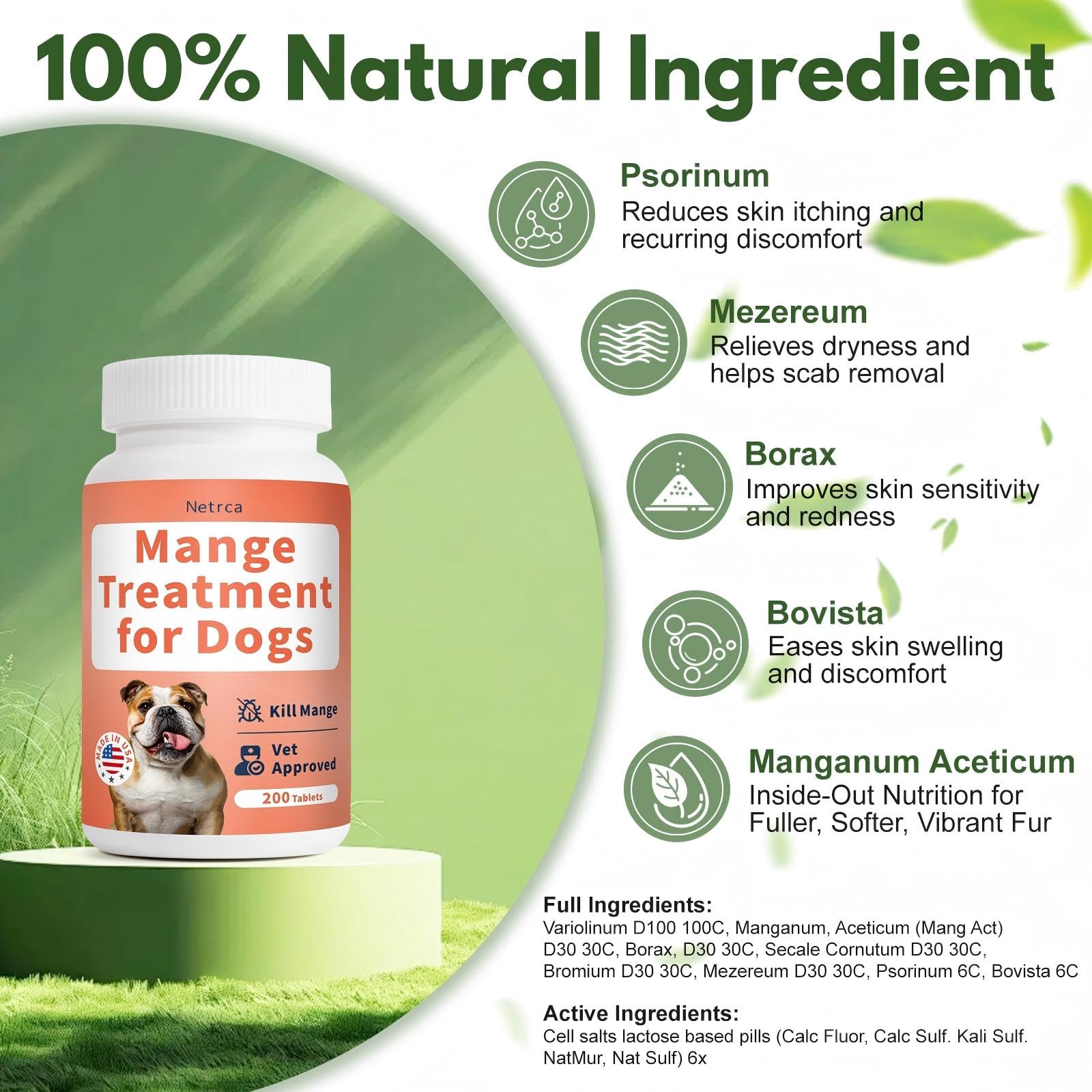 Netrca Mange Treatment for Dogs skin healing — closeup illustrating hair regrowth potential