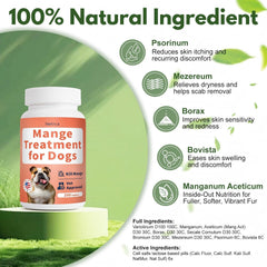 Netrca Mange Treatment for Dogs skin healing — closeup illustrating hair regrowth potential