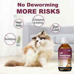 Cat accepts Netrca fenbendazole liquid for smooth dosing.