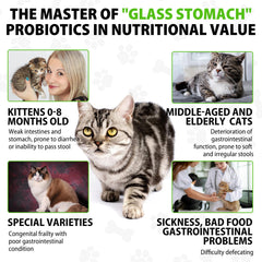 Netwik Cat Probiotics tincture bottle highlights six probiotic blend for digestion