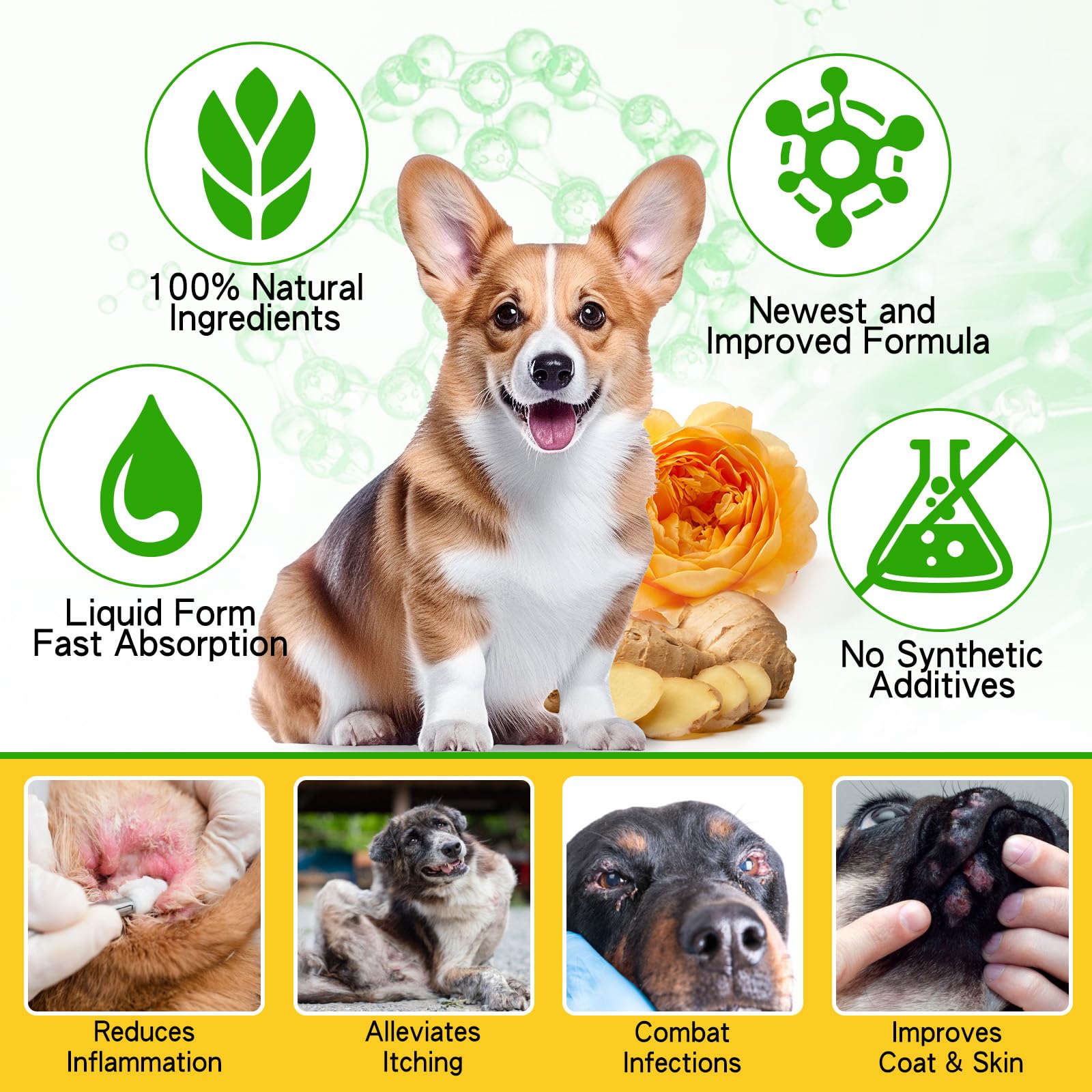 Netwik puppy-friendly supplement—easy digestion and quick absorption.