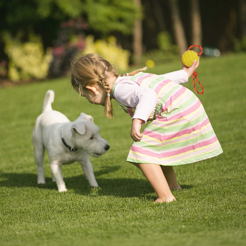 Nevperish dog toy with handle and rope supports controlled fetch and toss