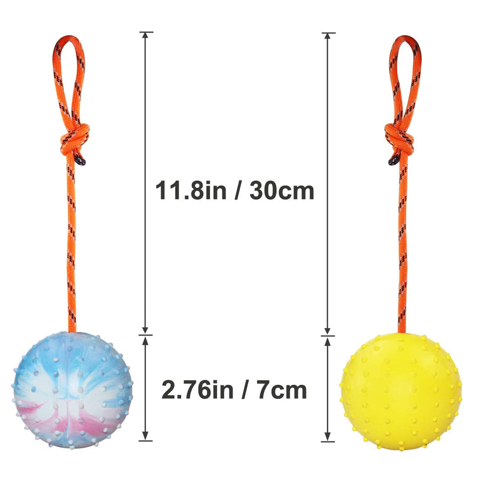 Nevperish K9 training ball promotes coordination and playful physical activity.