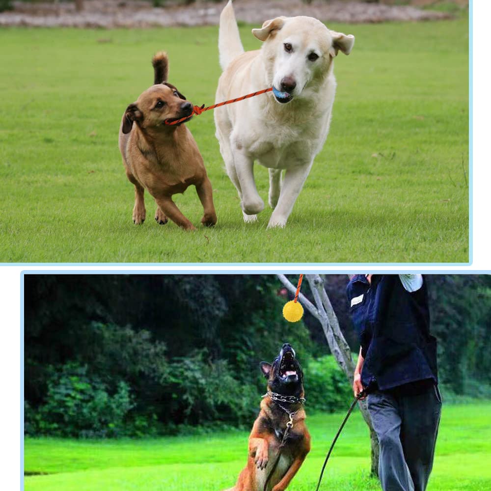 Nevperish natural rubber ball offers durability for daily K9 workouts.